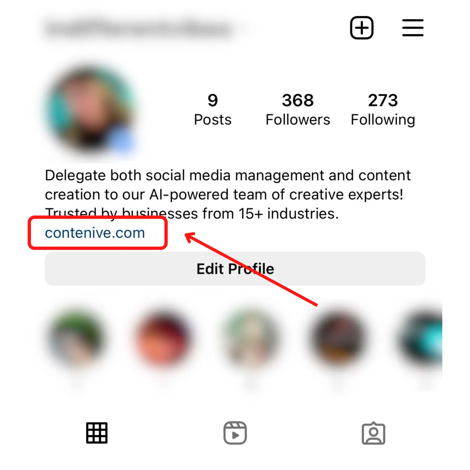Screenshot of an example of Instagram Profile that shows that a new link in bio link appeared at the bottom of the profile description